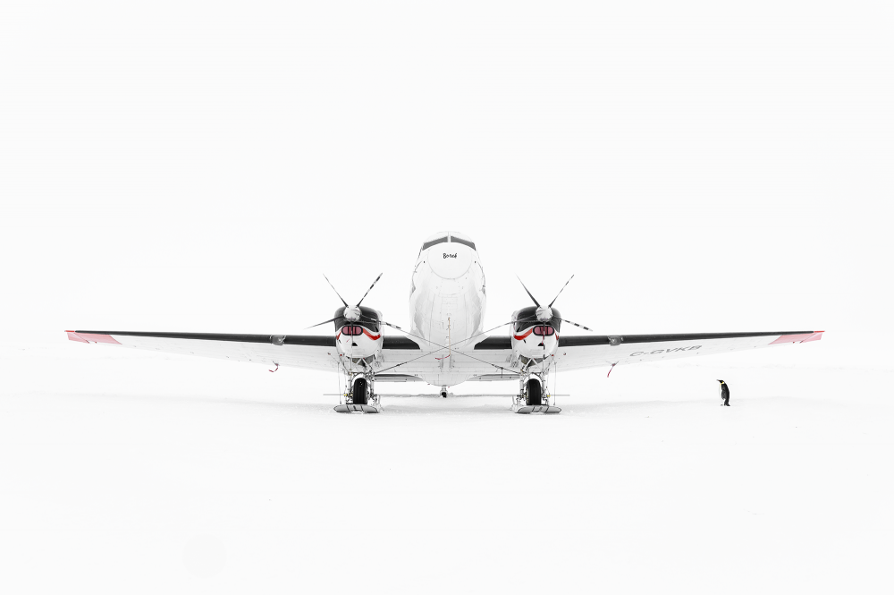 Ewa Przeździecka, Ewa Przezdziecka photography, wildlife photographer, photography