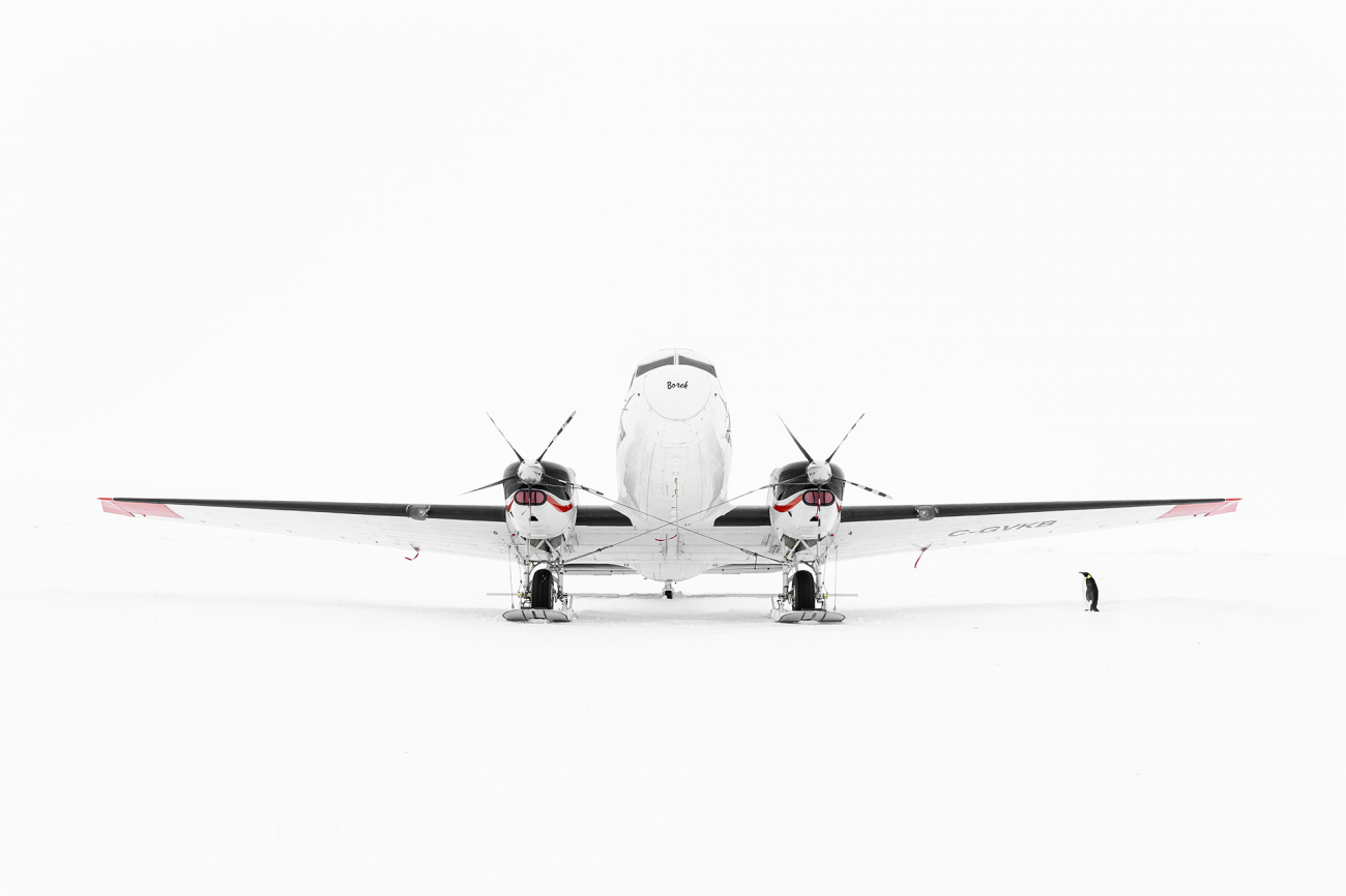 Ewa Przeździecka, Ewa Przezdziecka photography, wildlife photographer, photography