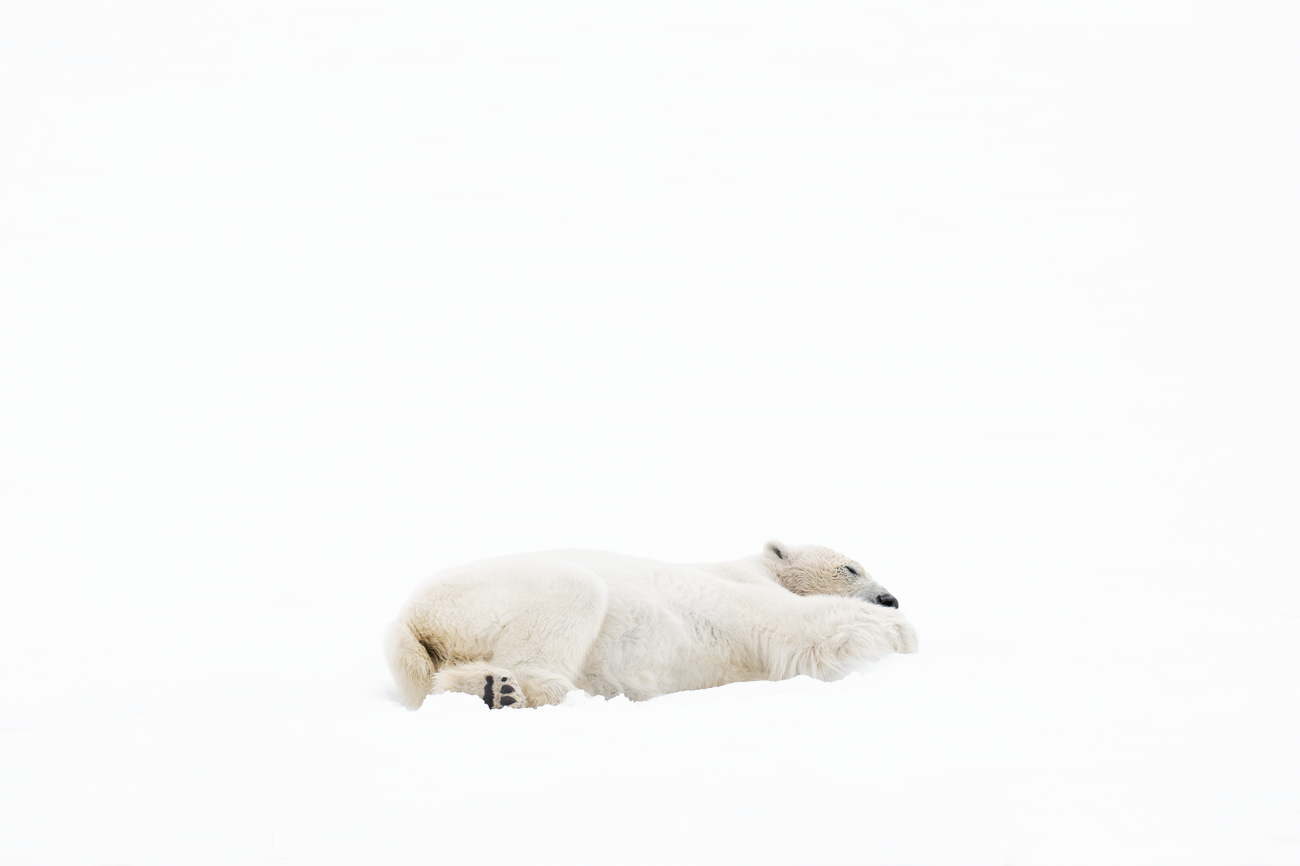 Ewa Przeździecka, Ewa Przezdziecka photography, wildlife photographer, photography