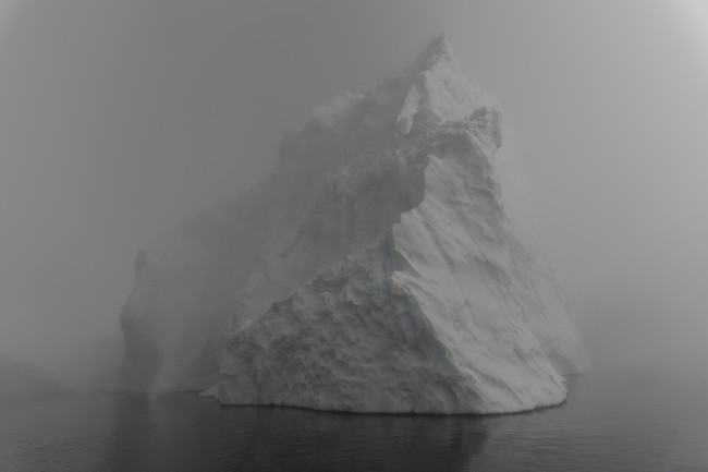 Ewa Przeździecka, Ewa Przezdziecka photography, wildlife photographer, photography