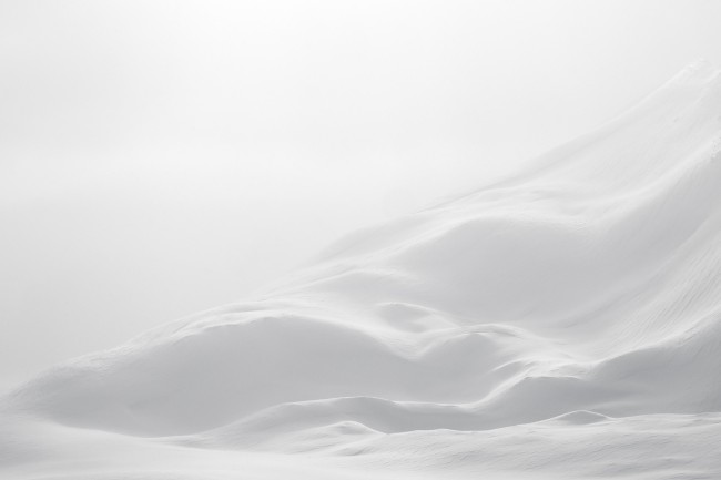 Ewa Przeździecka, Ewa Przezdziecka photography, wildlife photographer, photography