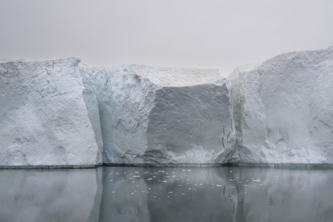 Ewa Przeździecka, Ewa Przezdziecka photography, wildlife photographer, photography