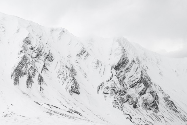 Ewa Przeździecka, Ewa Przezdziecka photography, wildlife photographer, photography